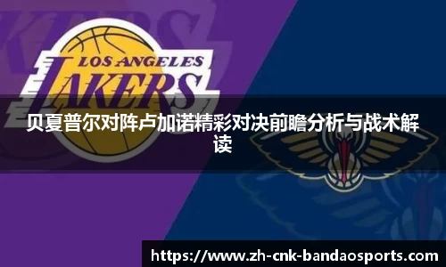 半岛体育官方网站